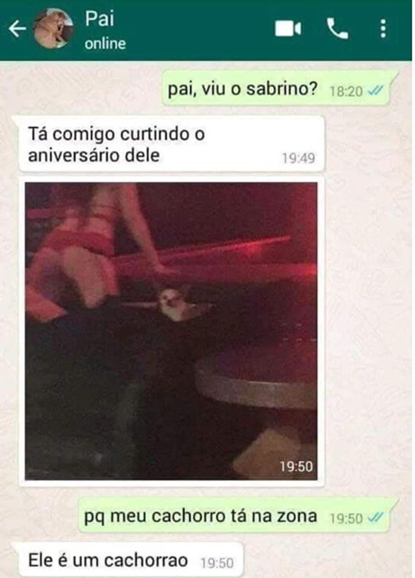 aniversário de cachorro