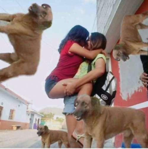 pedindo ajuda na internet pra tirar o cachorro da foto