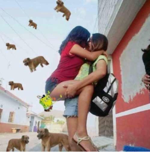 pedindo ajuda na internet pra tirar o cachorro da foto