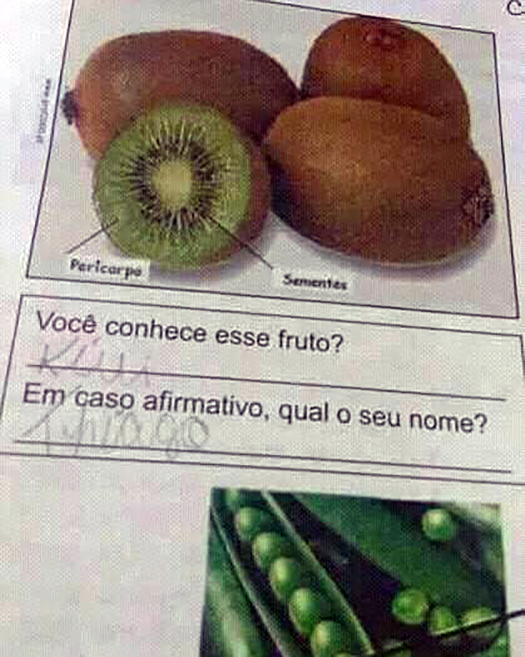 respostas de prova