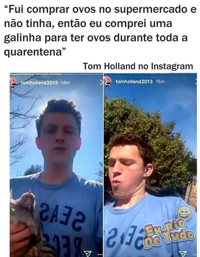 como ter ovos na quarentena