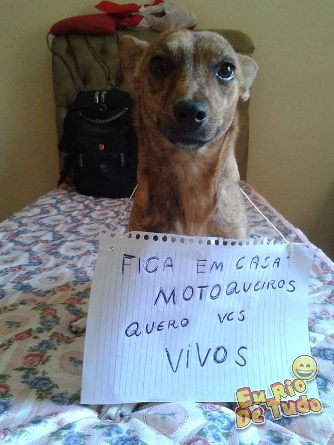 fique em casa