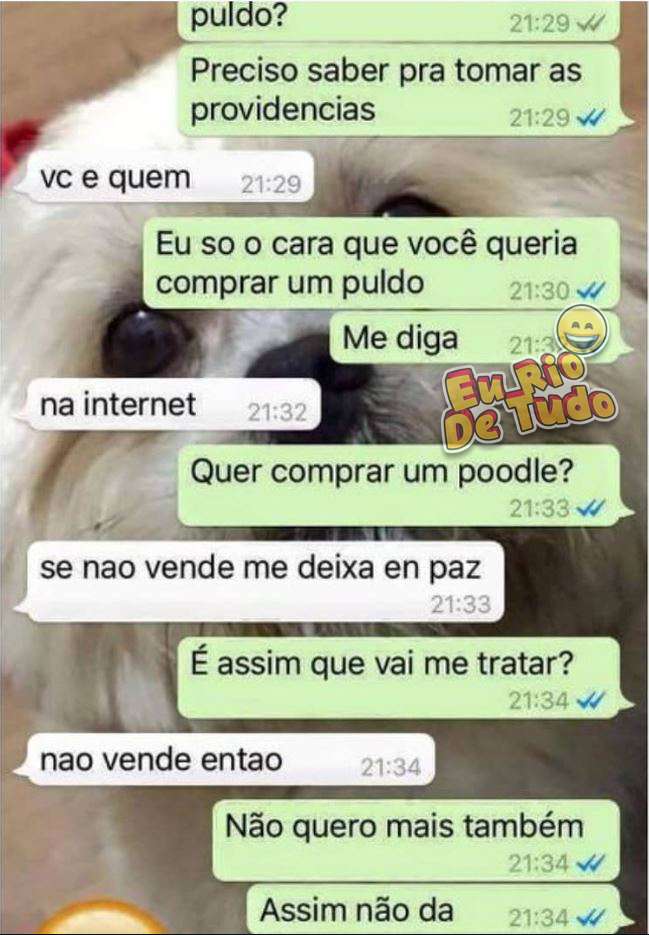 onde comprar poodle