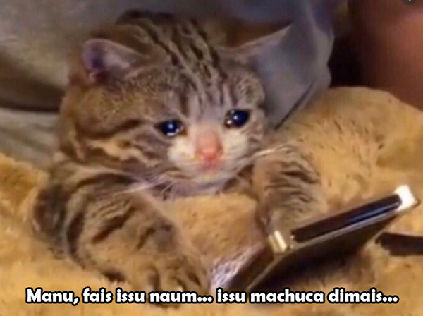 meme triste